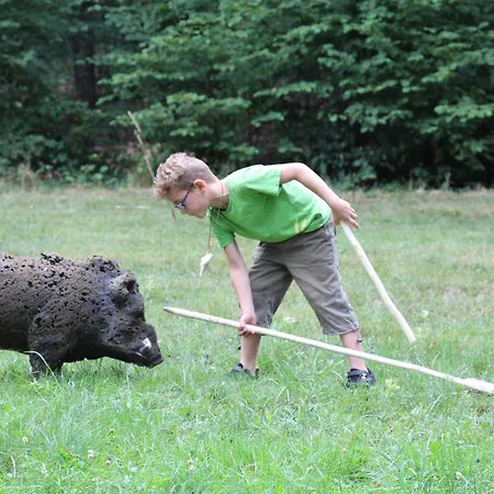 Schullandheim Kronenburg Gmbh Apartment Dahlem (Euskirchen)