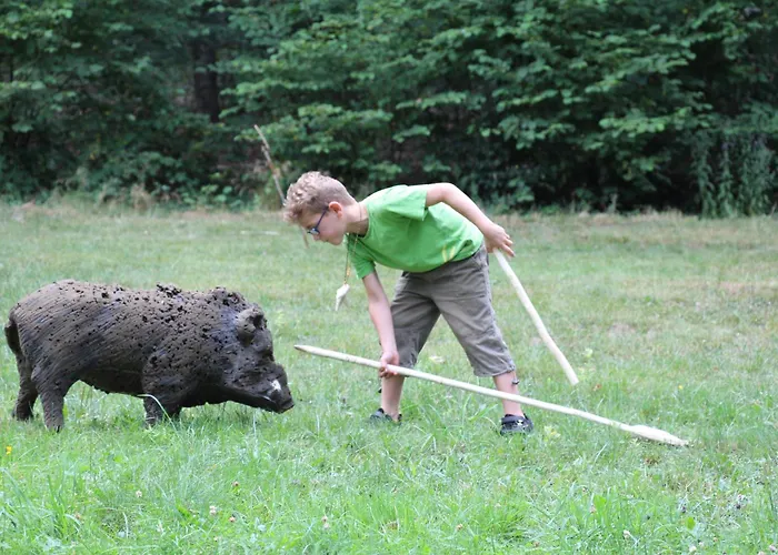 Schullandheim Kronenburg Gmbh Lejlighed Dahlem (Euskirchen)